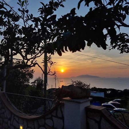 Bed and Breakfast Casa Astra à Anacapri  Extérieur photo
