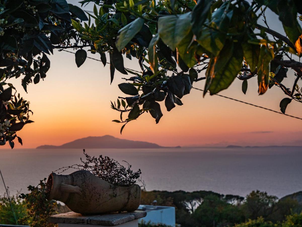 Bed and Breakfast Casa Astra à Anacapri  Extérieur photo