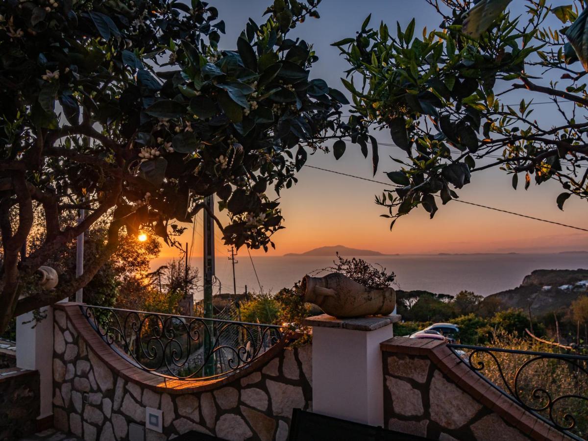 Bed and Breakfast Casa Astra à Anacapri  Extérieur photo